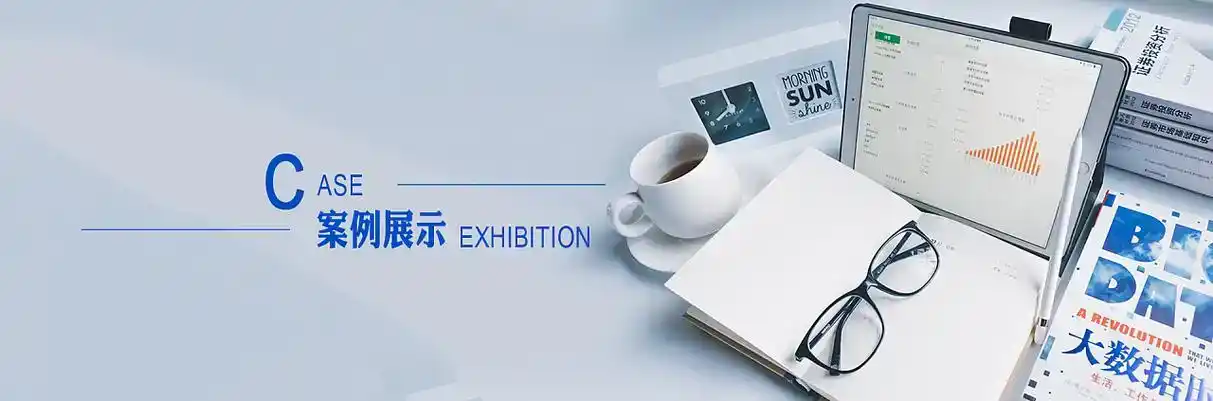 振安区软件开发
